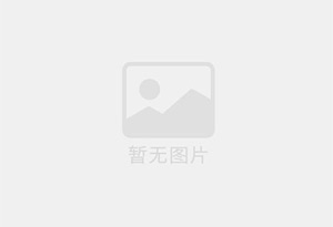水泥仓阻旋式料位器